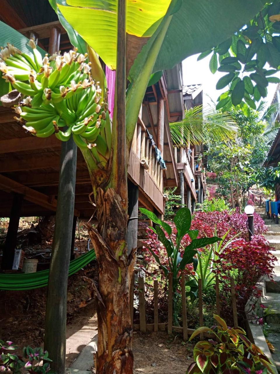 Happy Elephant Bungalows Kaoh Touch Exteriér fotografie